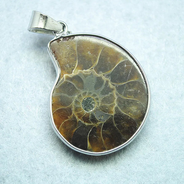 White Shell Pendants-ToShay.org