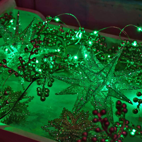 Green Solar String Light-ToShay.org