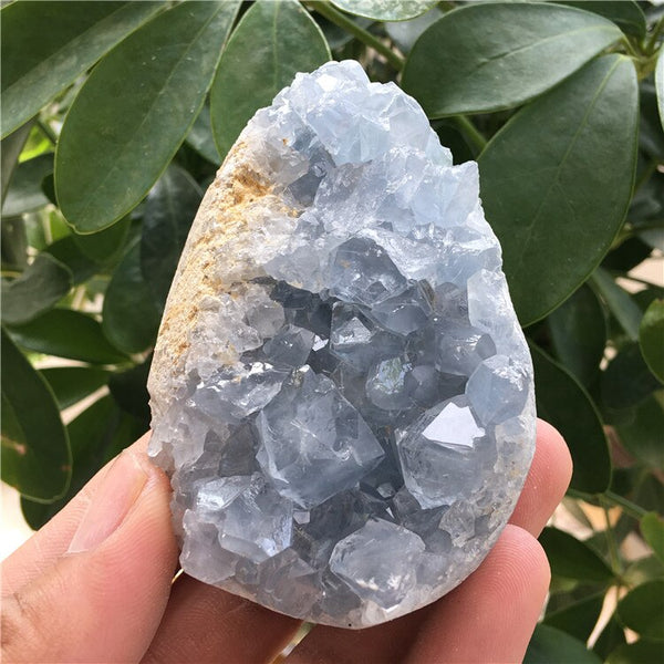 Blue Celestite Crystal Cluster-ToShay.org