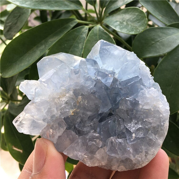 Blue Celestite Crystal Cluster-ToShay.org