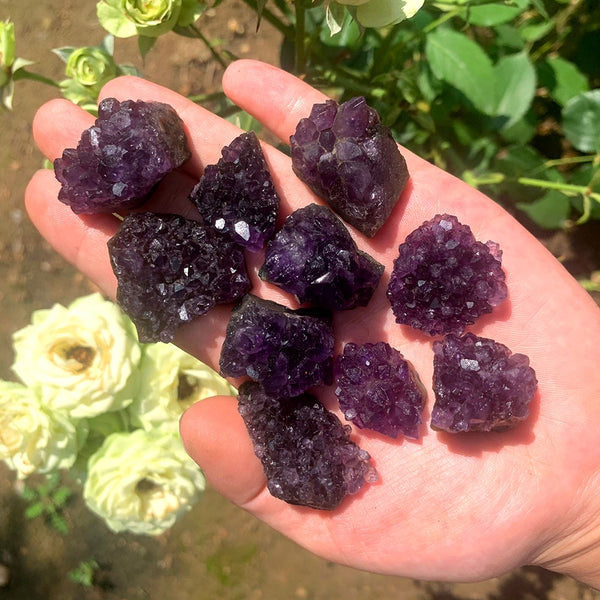 Purple Amethyst Clusters-ToShay.org