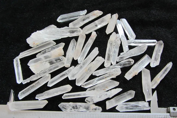 Clear Lemurian Seed Chips-ToShay.org