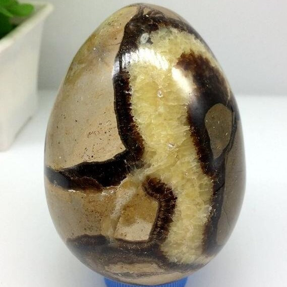 Yellow Dragon Septarian Egg-ToShay.org