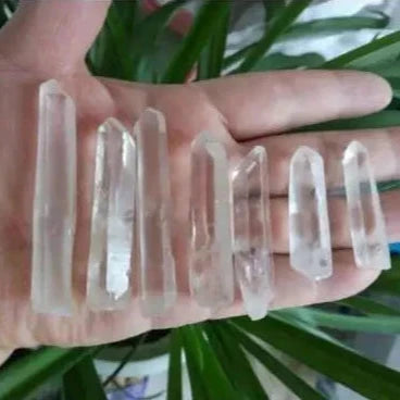 Clear Lemurian Seed Chips-ToShay.org