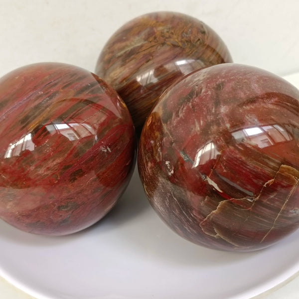 Brown Petrified Wood Ball-ToShay.org