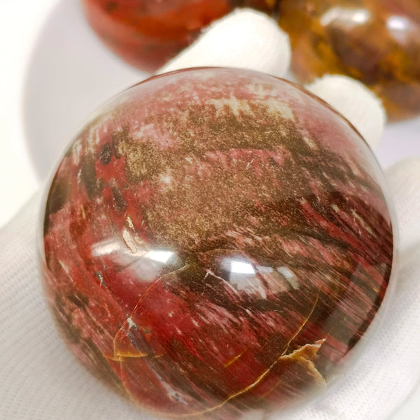 Brown Petrified Wood Ball-ToShay.org