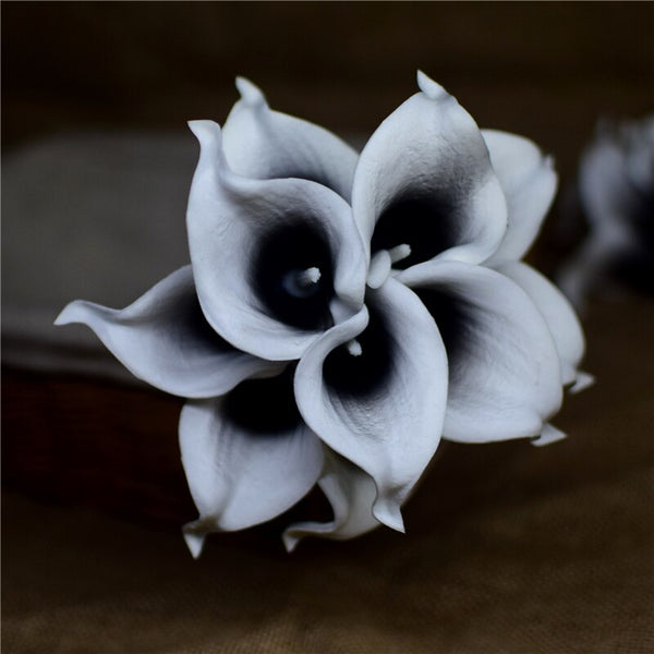 Black Calla Lilies-ToShay.org