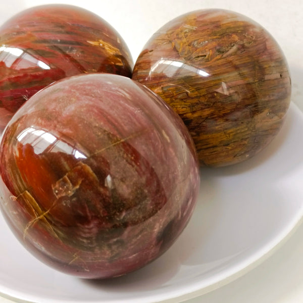 Brown Petrified Wood Ball-ToShay.org