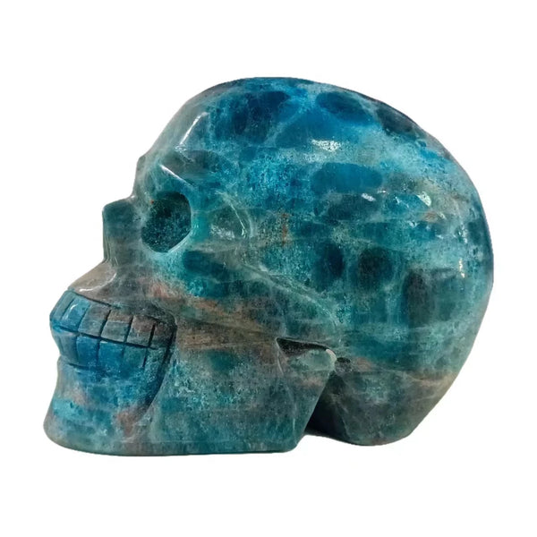 Mixed Crystal Skulls-ToShay.org