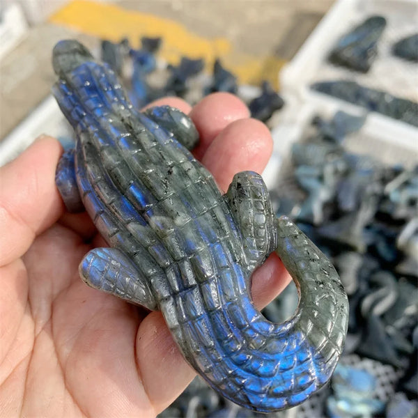 Blue Labradorite Crocodile-ToShay.org