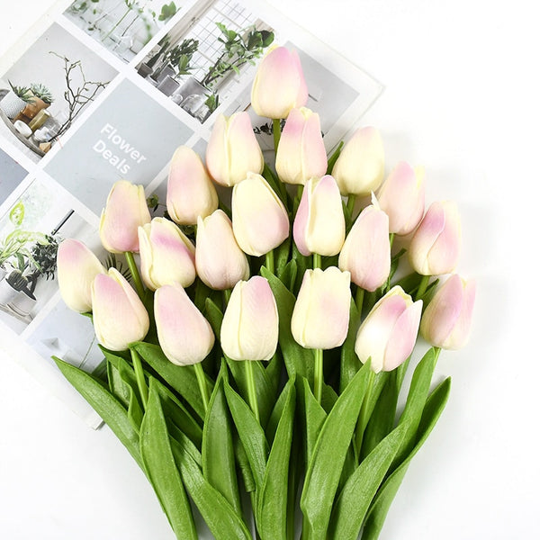 Tulip Flowers-ToShay.org