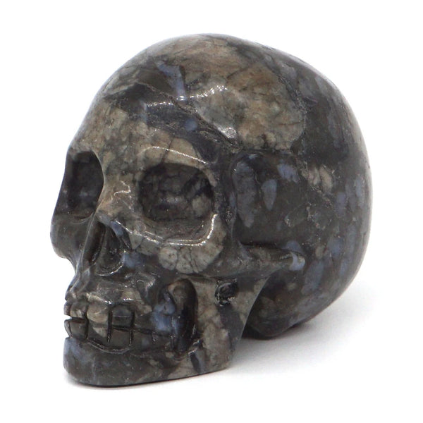 Mixed Crystal Skulls-ToShay.org