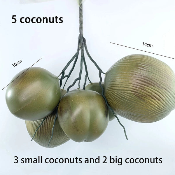 Coconut Palm Leaves-ToShay.org