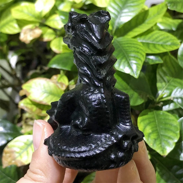 Black Obsidian Dragon-ToShay.org