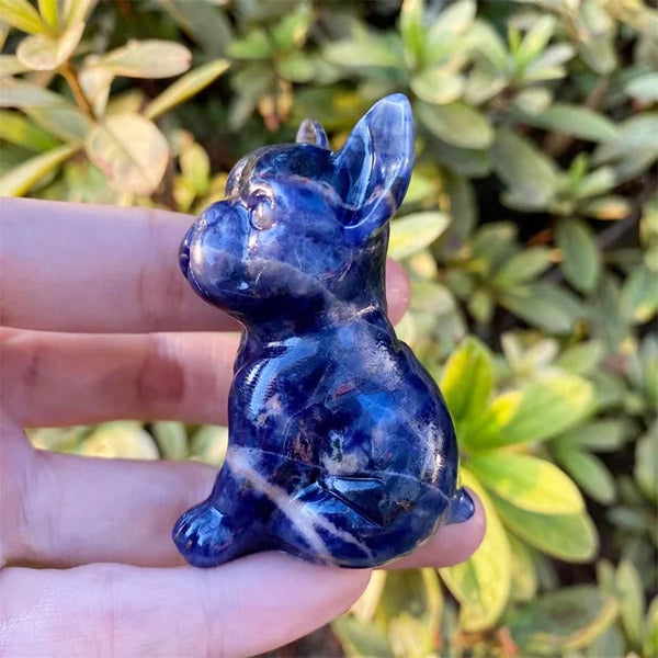 Blue Sodalite Dog-ToShay.org