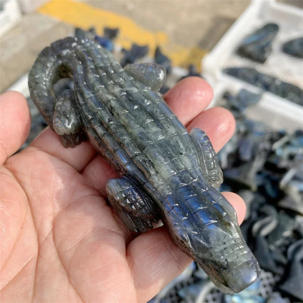 Blue Labradorite Crocodile-ToShay.org