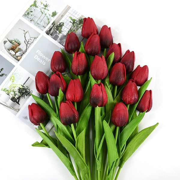 Tulip Flowers-ToShay.org