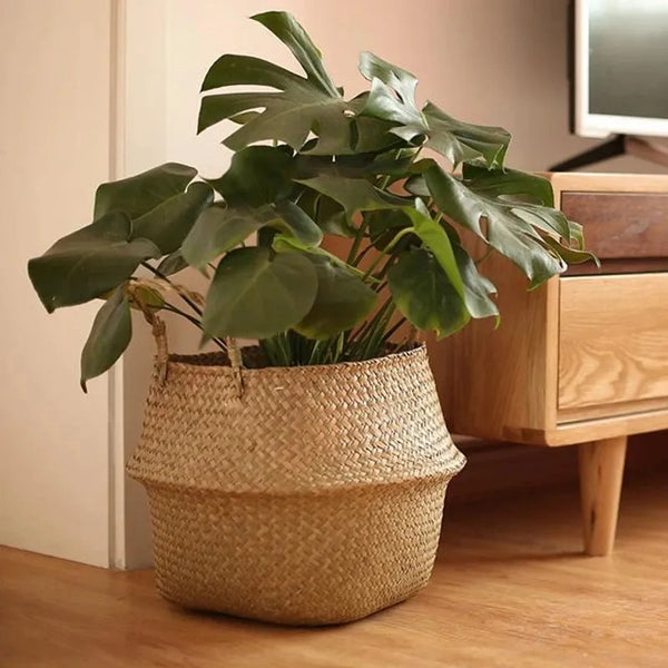 Straw Pot Plant Basket-ToShay.org