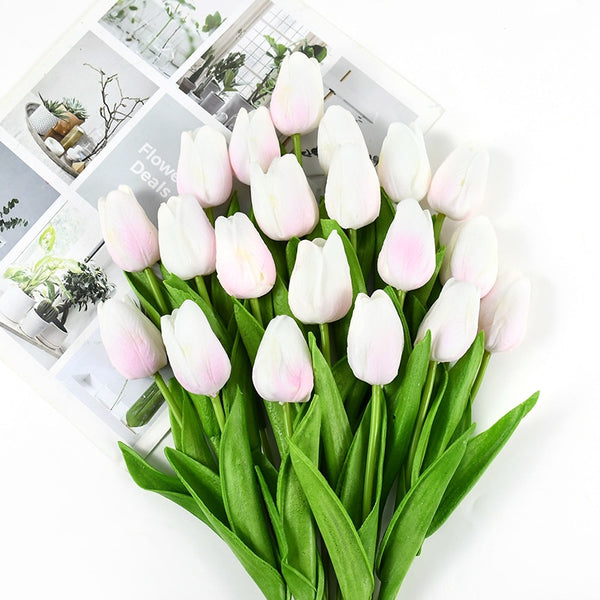 Tulip Flowers-ToShay.org