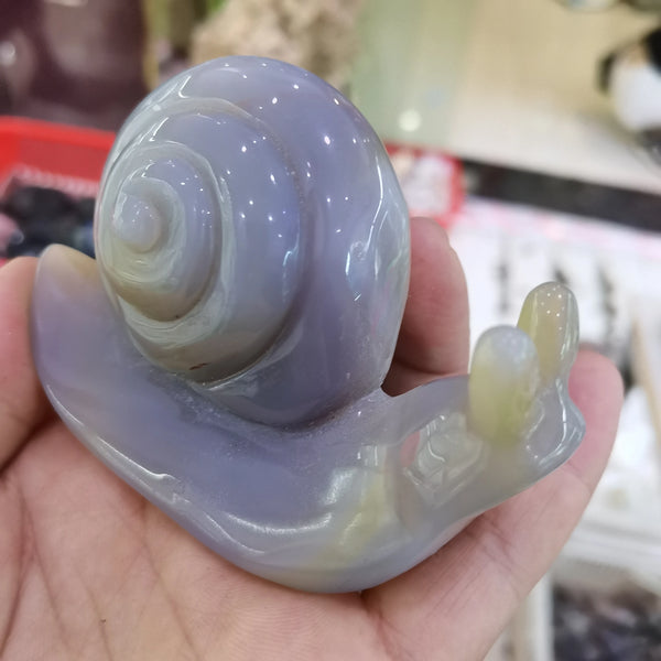 Grey Agate Snail-ToShay.org