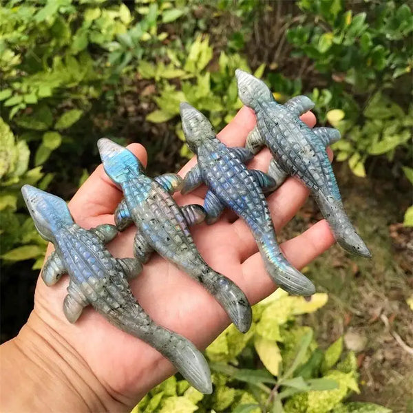 Blue Labradorite Crocodile-ToShay.org