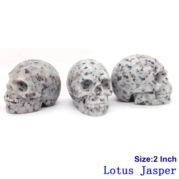 Mixed Crystals Skulls-ToShay.org