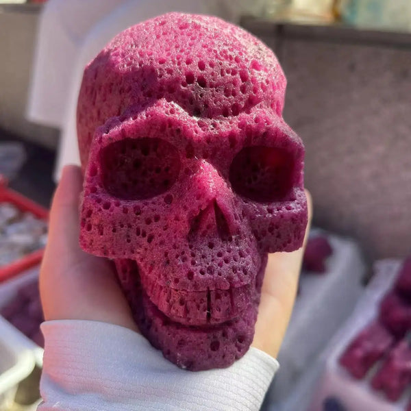 Red Ruby Dragon Fruit Skull-ToShay.org