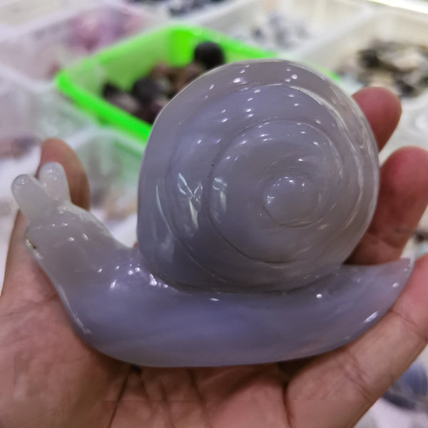 Grey Agate Snail-ToShay.org