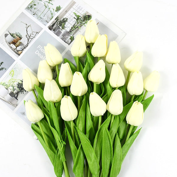 Tulip Flowers-ToShay.org