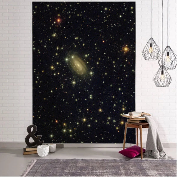 Moon Art Tapestry-ToShay.org