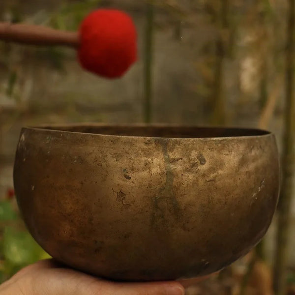 Tibetan Singing Bowl-ToShay.org