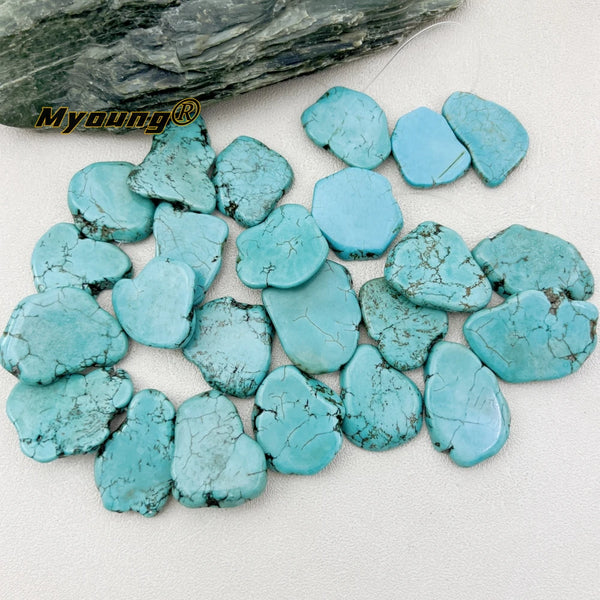 Blue Howlite Slice Beads-ToShay.org