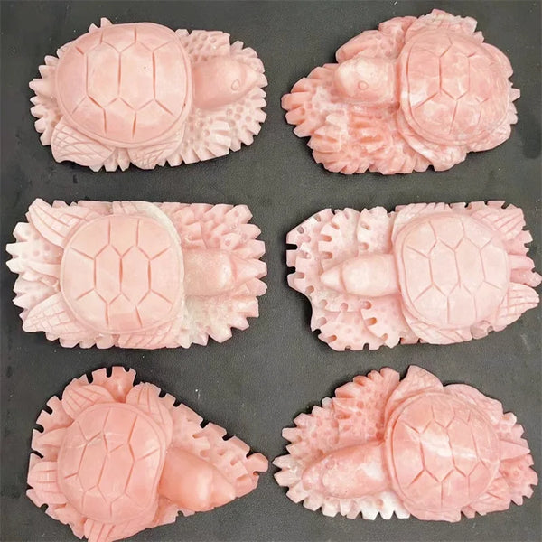 Pink Opal Tortoise-ToShay.org