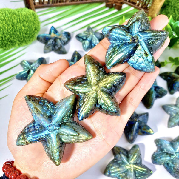 Blue Labradorite Starfish-ToShay.org