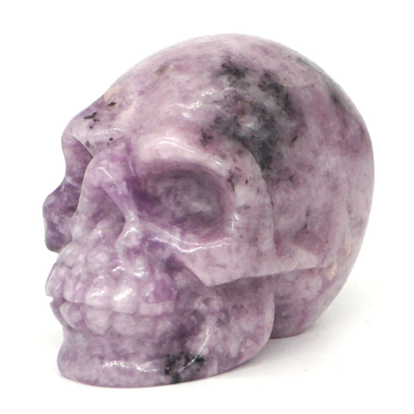 Mixed Crystal Skulls-ToShay.org