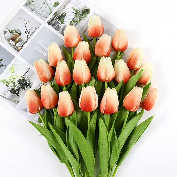 Tulip Flowers-ToShay.org