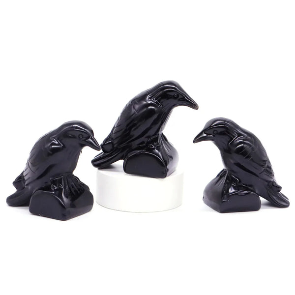 Black Obsidian Raven-ToShay.org