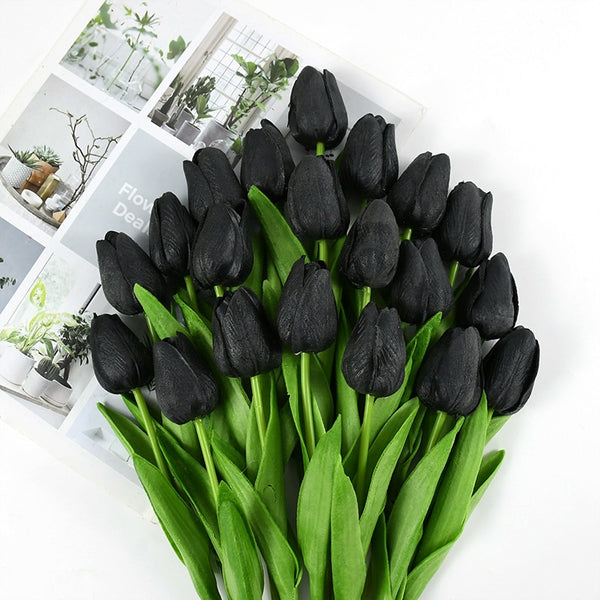 Tulip Flowers-ToShay.org