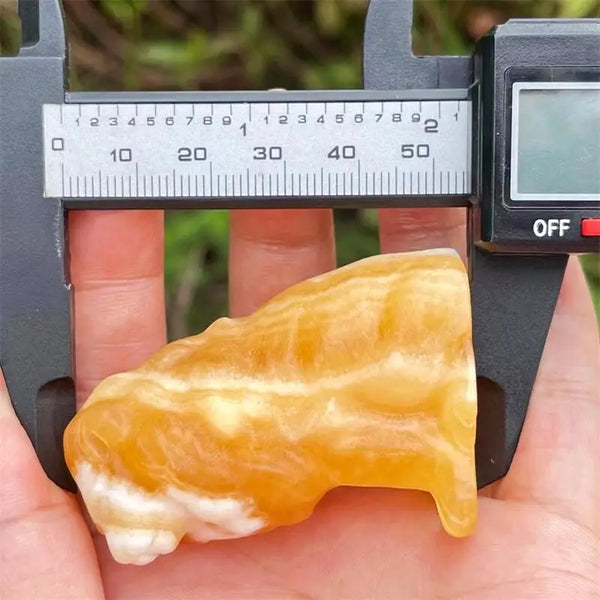 Orange Calcite Lion-ToShay.org