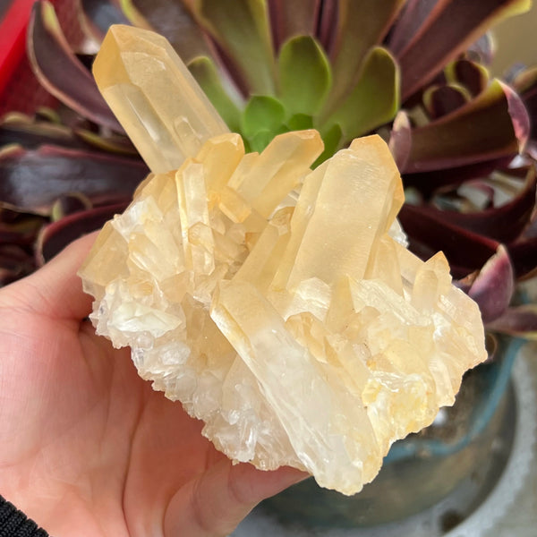 White Crystal Quartz Cluster-ToShay.org