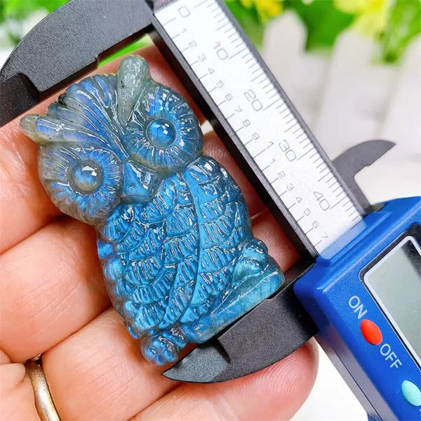 Blue Labradorite Owl-ToShay.org