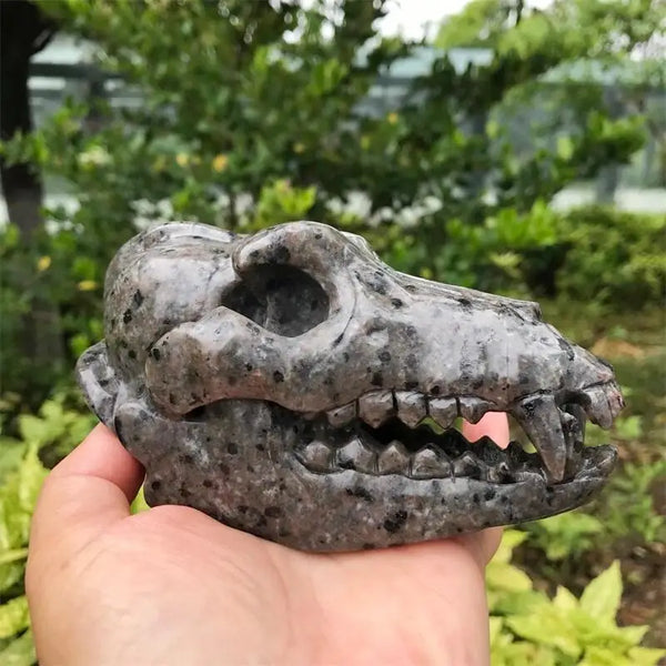 Grey Yooperlite Dinosaur Skull-ToShay.org