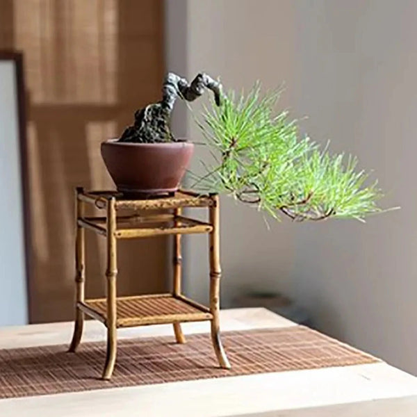 Bamboo Display Table-ToShay.org