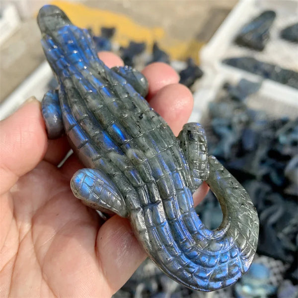 Blue Labradorite Crocodile-ToShay.org