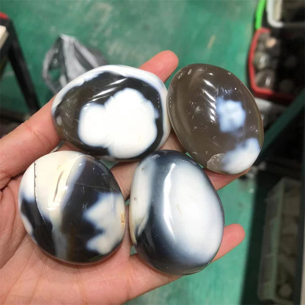 White Black Orca Agate Stones-ToShay.org