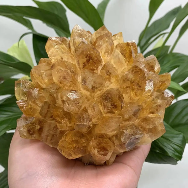 Yellow Citrine Crystal Cluster-ToShay.org