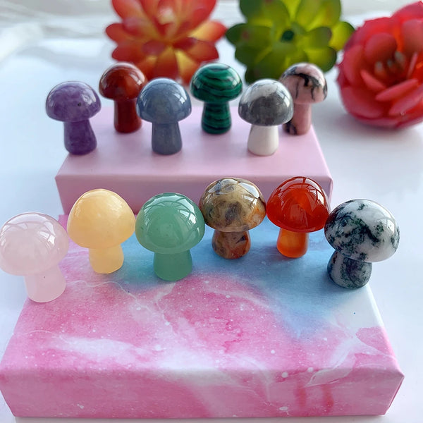 Mixed Crystal Mushroom Gift Box-ToShay.org