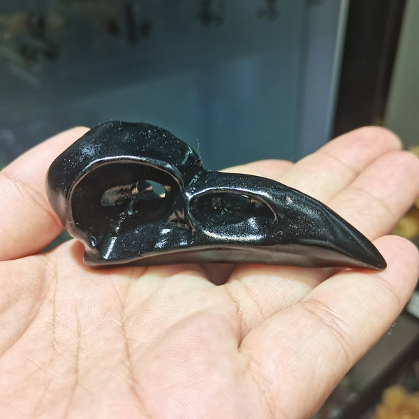 Black Obsidian Raven Skull-ToShay.org