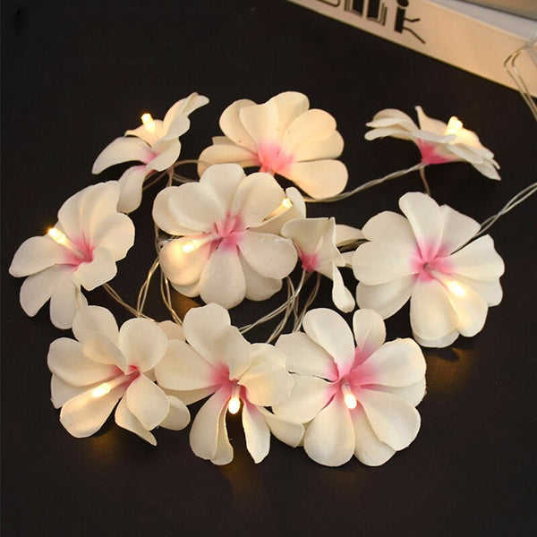 Frangipani Flower String Lights-ToShay.org