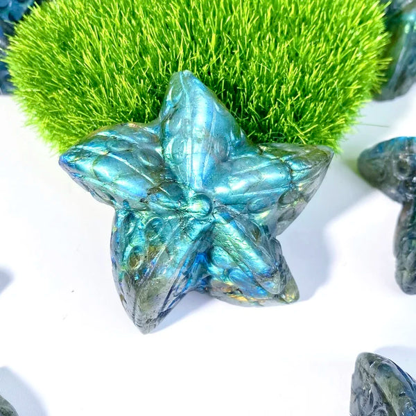 Blue Labradorite Starfish-ToShay.org